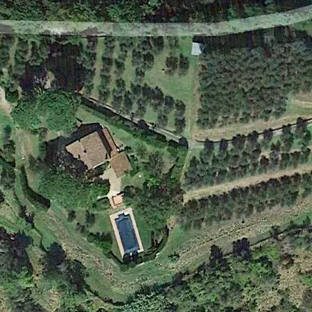 Hidden Among Olive Trees In Tuscany * Palaia