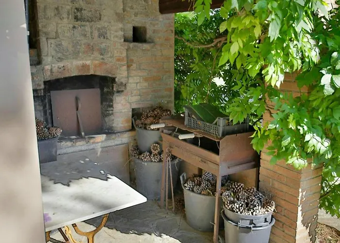 Hidden Among Olive Trees In Tuscany Palaia